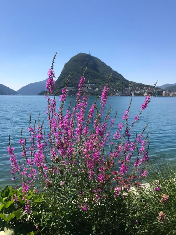 Connie S Home Free Parking Lugano Eksteriør bilde